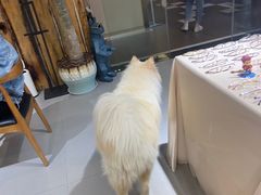 -肆兮眼镜·蔡司·徕卡战略合作店(大坪店)