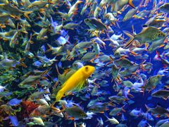 -成都浩海立方海洋公园