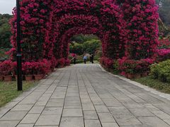 -东莞植物园
