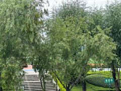 -怡得观滇餐厅·地道昆明菜·1996(海埂大坝店)