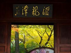 -汇龙潭