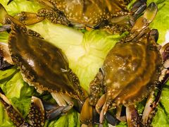 -吉友粥底火锅(方斜路店)