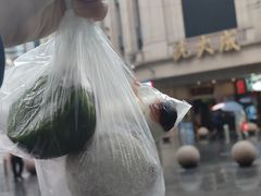 -沈大成(南京东路店)