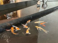 -上海静安洲际酒店