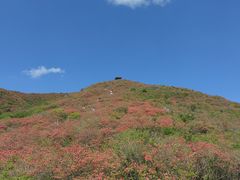 -大围山国家森林公园