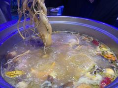 -千岛蚝高压锅生蚝·人参火锅(白云万达店)