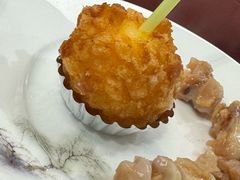 -丁老爷子苏香圆