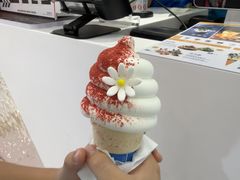 -DQ·蛋糕·冰淇淋(昌平国泰店)