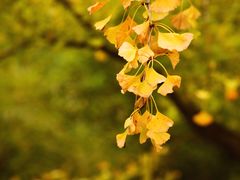 -共青国家森林公园-售票处