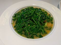 蚌肉金花菜-洋洋中餐馆·SINCE 1997(信投店)