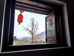-大唐贡茶院