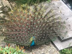 -苏州环秀晓筑养生度假村