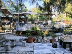 -蘇河湾·新鲁菜·泰山宴(泰山店)