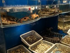 -福来齐·鲁菜海鲜·渔家菜(朝阳街分店)