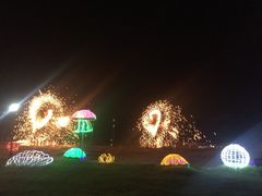 -杭州湾海上花田景区