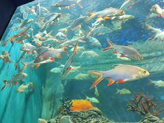 -石家庄海洋公园