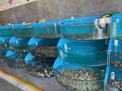 -蓝珊海鲜澳洲和牛自助餐厅