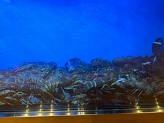 -mezza9 Macau(澳门君悦酒店)