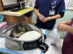 -纳吉亚猫专科动物医院博雅分院
