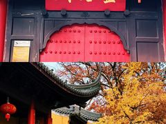 -灵谷景区