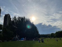 -长白岛森林公园