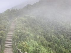 -梧桐山风景名胜区
