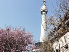 -龟山风景区-龟山电视塔