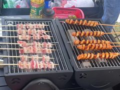 -合肥滨湖国家森林公园