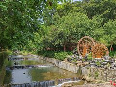 -广州白江湖森林公园