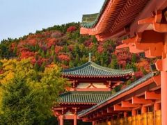 -龙口南山旅游景区