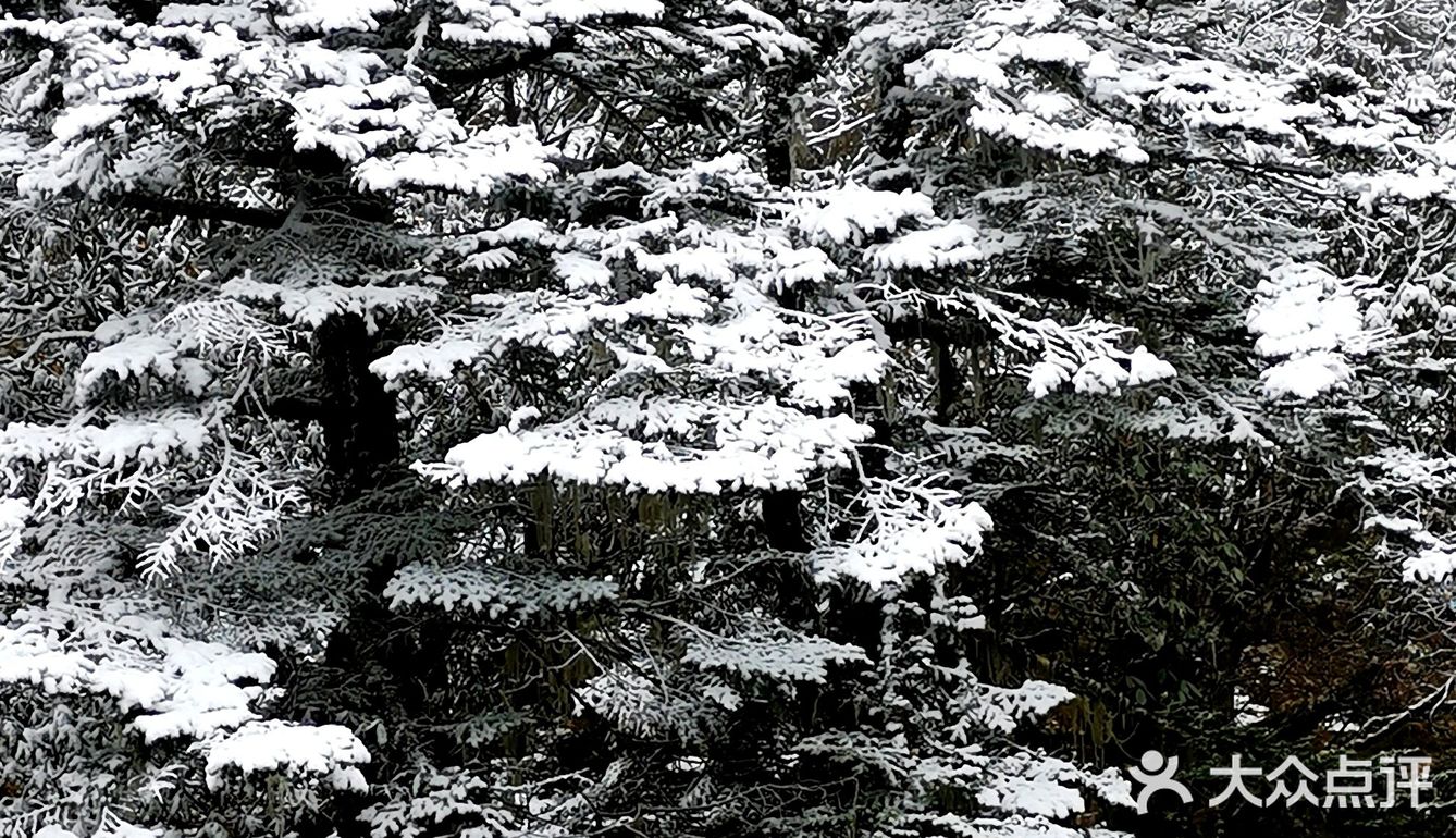 木格措雪景图片