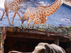 -长鹿旅游休博园