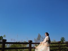 -武陵山森林公园