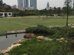 -海珠儿童公园