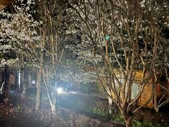 -云幽谷旅游区