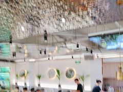 -探窝·竹笙椰子鸡(杨箕店)