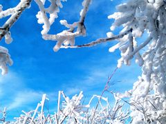 -终南山国家森林公园