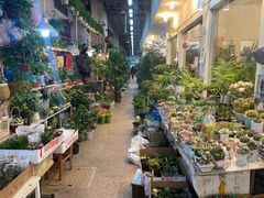 -双季花艺园艺市场(浦东店)