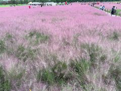 -汉长安城未央宫国家考古遗址公园