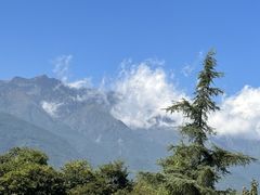 -洱海月湿地公园