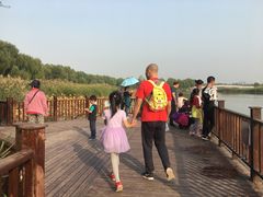 -北京麋鹿生态实验中心