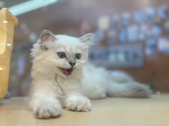 -宁波鄞州万达广场