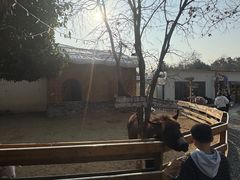 -HERRE·FARM 赫尔露营农场·团建聚会包场