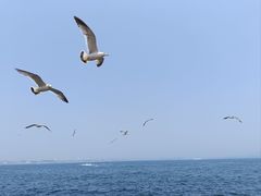-大连海昌东方水城