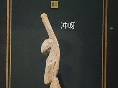 -甘肃省博物馆