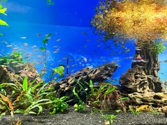 -太平洋海底世界