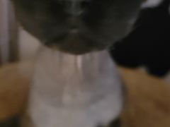 -北京观赏动物医院·24小时大型综合·猫专科·异宠专科