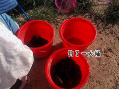 -梁鸿国家湿地公园