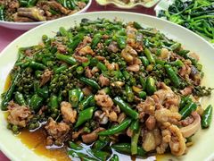 -铁山坪森林公园