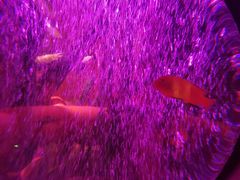 -沈阳海洋探索中心